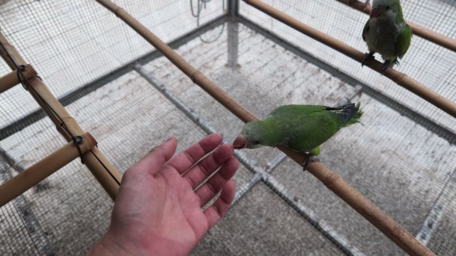 手部互动真实画面